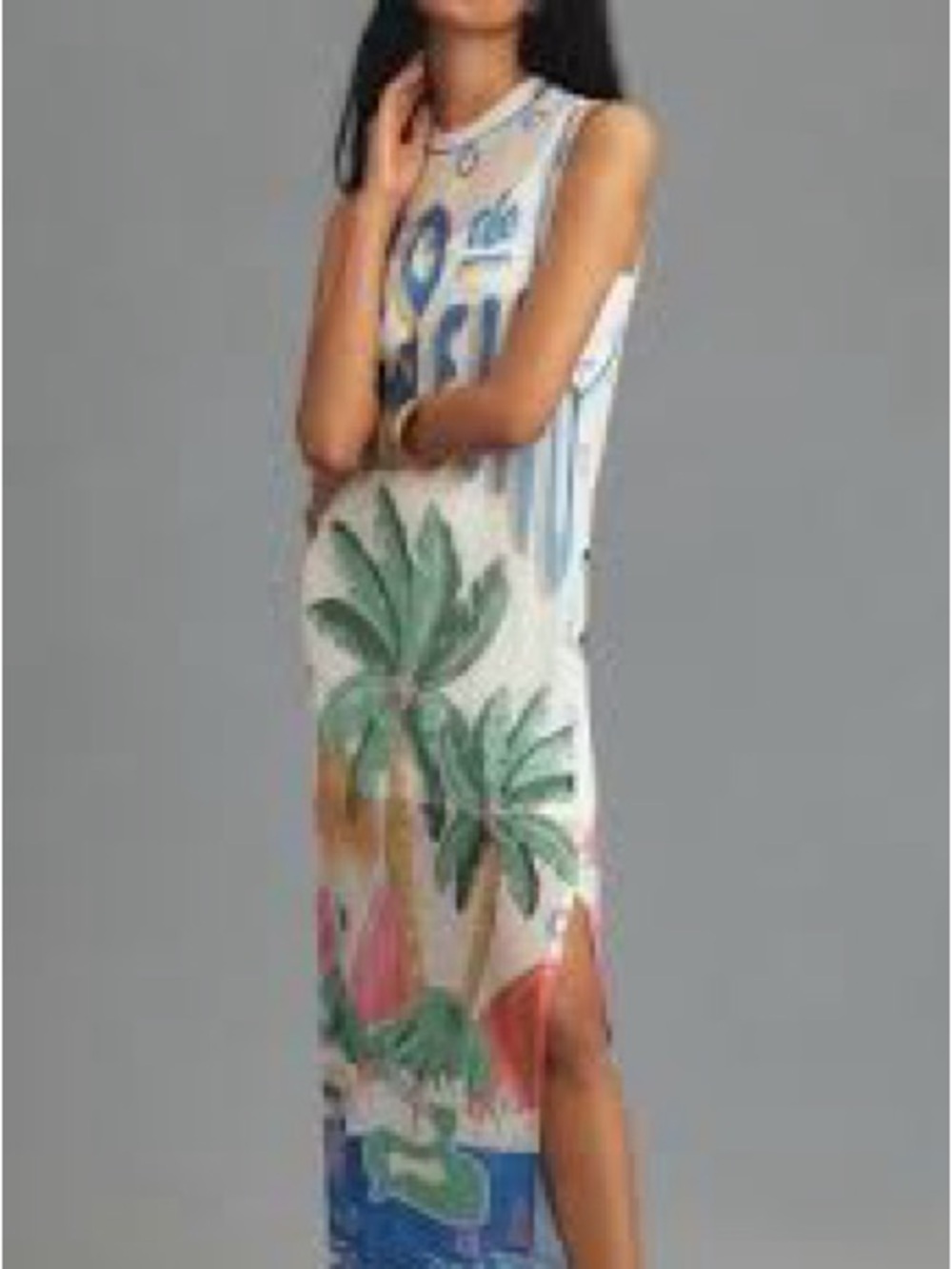 Farm Rio for Anthropologie Rio de Janeiro Mesh Maxi Dress Size Small Tropical - Picture 3 of 10